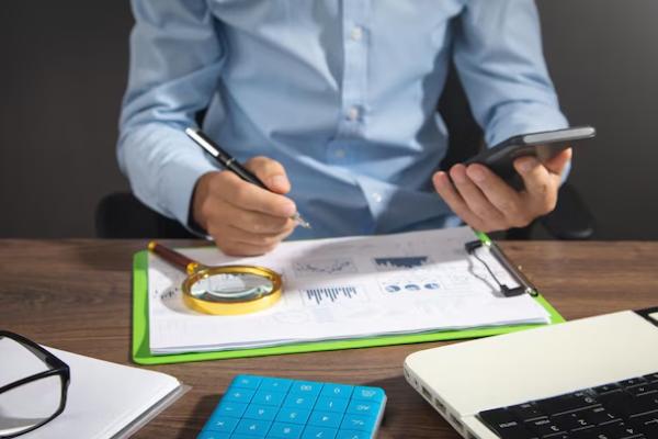 Auditing Tax Reports