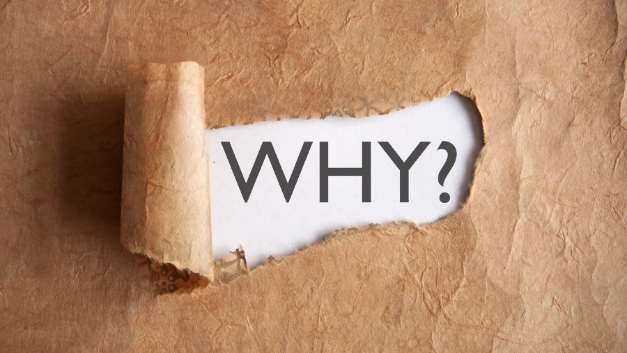 The Role of an Expert – Why You Need a Company Liquidator