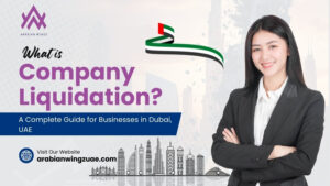 What is Company Liquidation