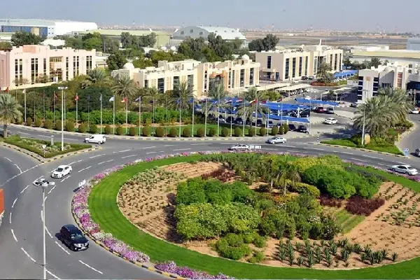 SAIF Zone