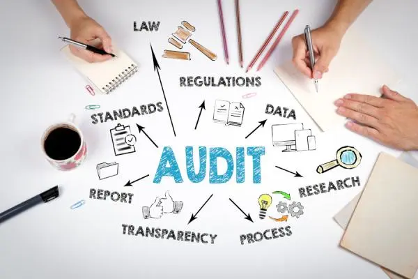 Who Needs Audit and Assurance Services in Dubai, UAE