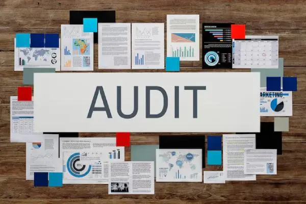 Audit Service